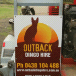 brisbane-dingo-hire