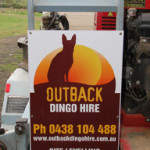 hire-dingo-brisbane